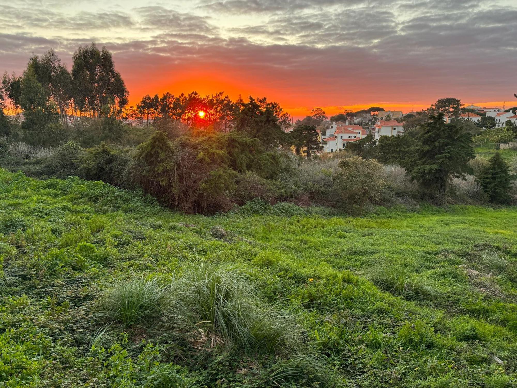 Boutique Hotel - O House Ericeira Hills Ngoại thất bức ảnh